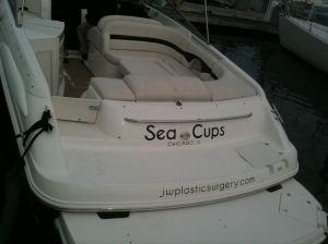 Sea Cups